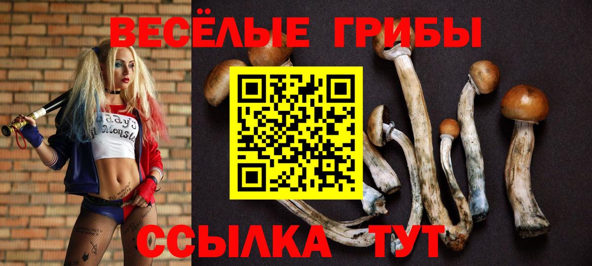Великий Устюг  Галлюциногенные грибы Psilocybine cubensis  Вход с VPN 